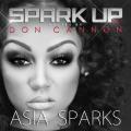 Spark Up - Asia Sparks